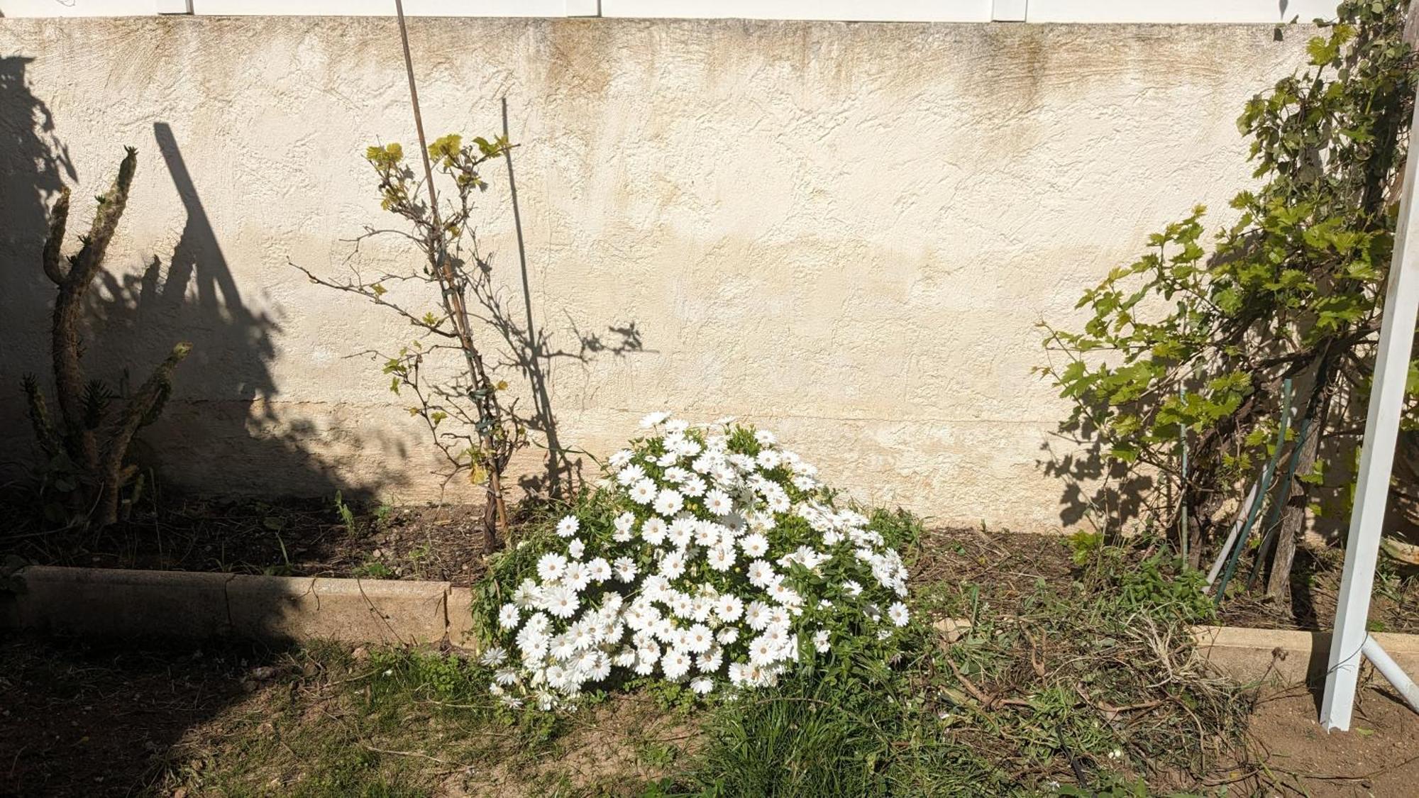 Maisonnette Kalis Calme Avec Climatisation Parking Jardin Cadre Campagne Plages A Pieds Bandol Exterior foto